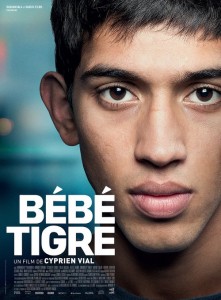 Affiche du film "Bébé tigre"